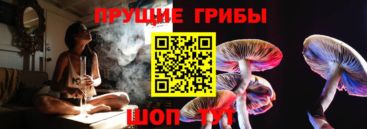 Галлюциногенные грибы Psilocybine cubensis Лангепас