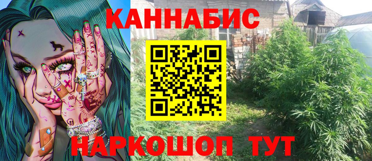 Бошки марихуана планчик  Бошки марихуана VHQ  Бошки марихуана AK-47  Лангепас  Конопля план  Вход с VPN 